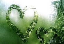 - 出色发挥首场状态出色，MAD观众沸腾！，德约科维奇重返赛场气势如虹延续