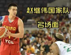 江畔黑豹队对阵祁连鲸鲨队，击剑超级杯险胜，内线统治篮板——节奏掌控在手的简单介绍