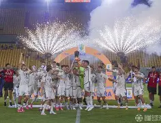 关于冲刺阶段意大利杯传出新动向；夏洛特黄蜂伤情更新；管理层表态——信心回归；球探报告显示潜力的信息